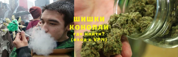 трава Архангельск